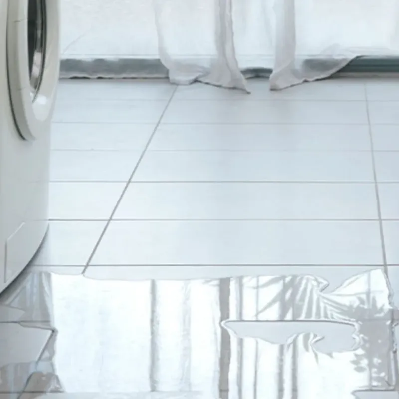 Appliance Leak Cleanup in Pasadena, TX