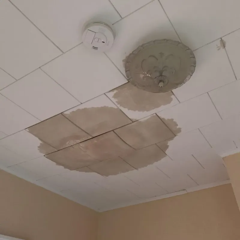 Ceiling Water Damage Repair in Pasadena, TX